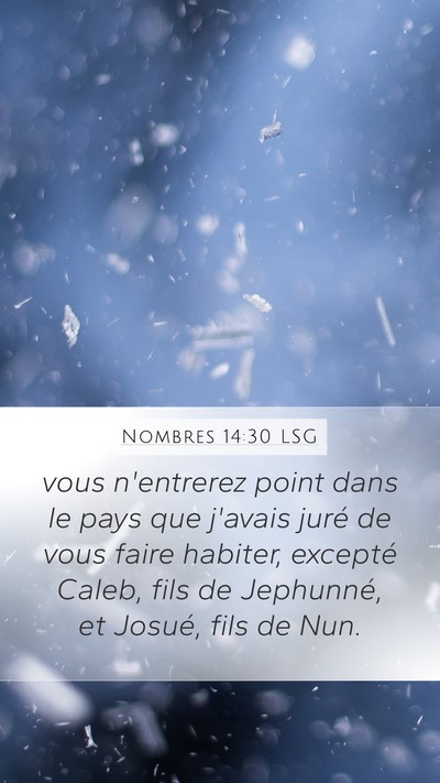 Nombres 14:30 LSG Bible Verse Image