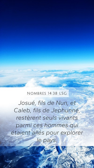 Nombres 14:38 LSG Bible Verse Image