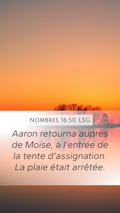 Nombres 16:50 LSG Mobile Phone Wallpaper - Aaron retourna auprès de Moïse, à l'entrée de - Mobile Bible Verse Wallpaper