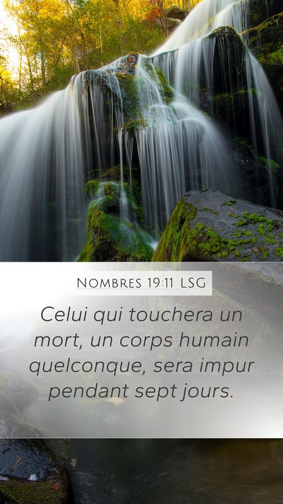 Nombres 19:11 LSG Bible Verse Image