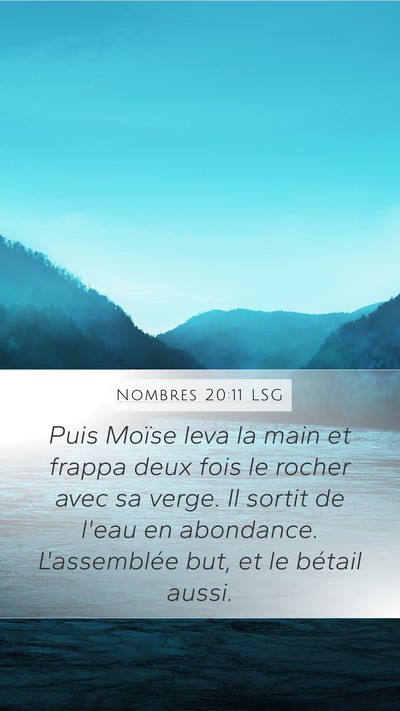Nombres 20:11 LSG Bible Verse Image