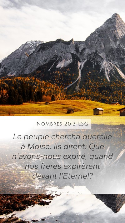 Nombres 20:3 LSG Bible Verse Image