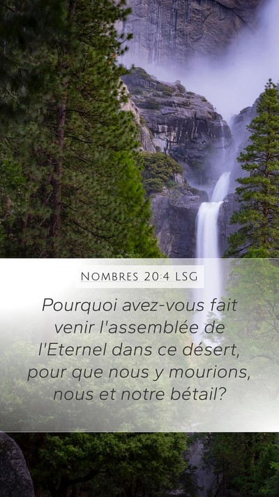 Nombres 20:4 LSG Bible Verse Image