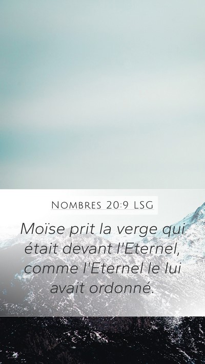 Nombres 20:9 LSG Mobile Phone Wallpaper - Moïse prit la verge qui était devant l'Eternel, - Mobile Bible Verse Wallpaper
