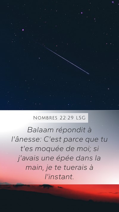 Nombres 22:29 LSG Bible Verse Image