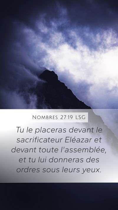 Nombres 27:19 LSG Bible Verse Image
