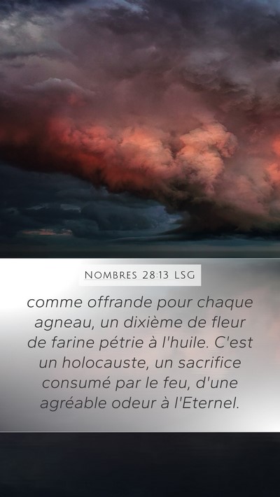 Nombres 28:13 LSG Mobile Phone Wallpaper - comme offrande pour chaque agneau, un dixième de - Mobile Bible Verse Wallpaper