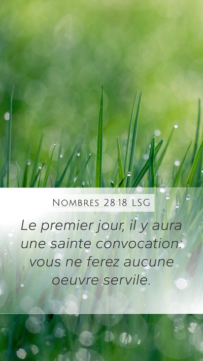 Nombres 28:18 LSG Bible Verse Image