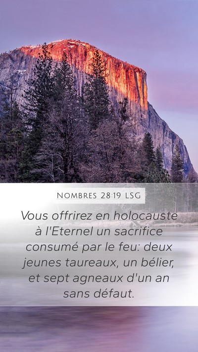 Nombres 28:19 LSG Bible Verse Image