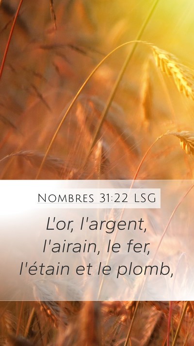 Nombres 31:22 LSG Bible Verse Image