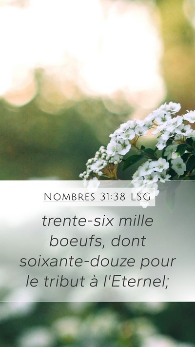 Nombres 31:38 LSG Mobile Phone Wallpaper - trente-six mille boeufs, dont soixante-douze pour - Mobile Bible Verse Wallpaper