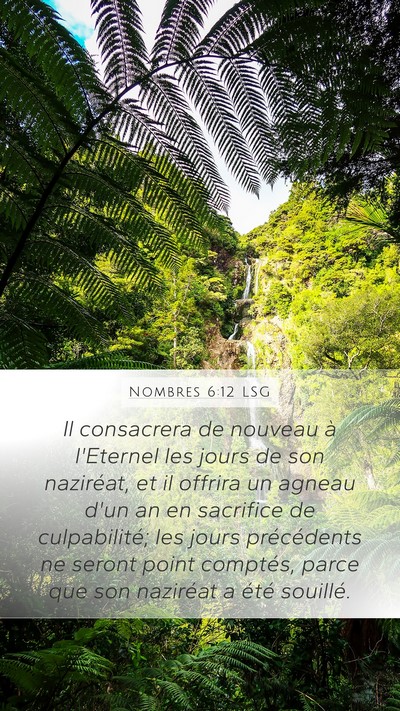 Nombres 6:12 LSG Bible Verse Image