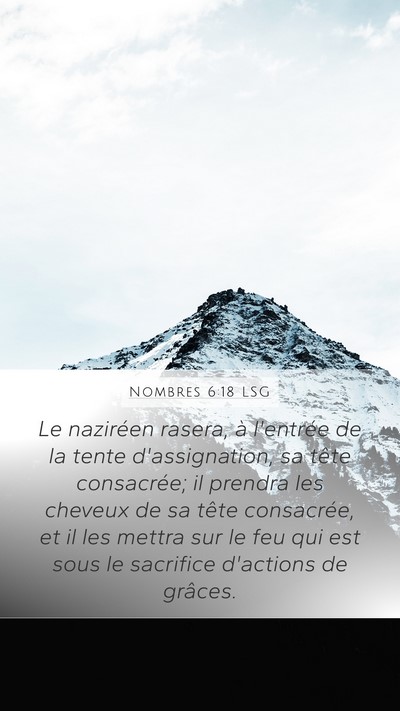 Nombres 6:18 LSG Bible Verse Image