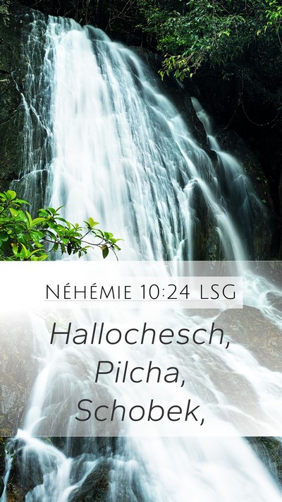 Néhémie 10:24 LSG Mobile Phone Wallpaper - Hallochesch, Pilcha, - Mobile Bible Verse Wallpaper
