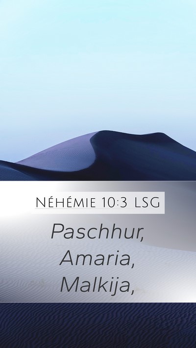 Néhémie 10:3 LSG Bible Verse Image