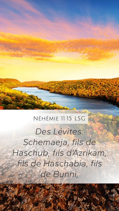 Néhémie 11:15 LSG Bible Verse Image
