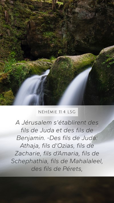 Néhémie 11:4 LSG Bible Verse Image