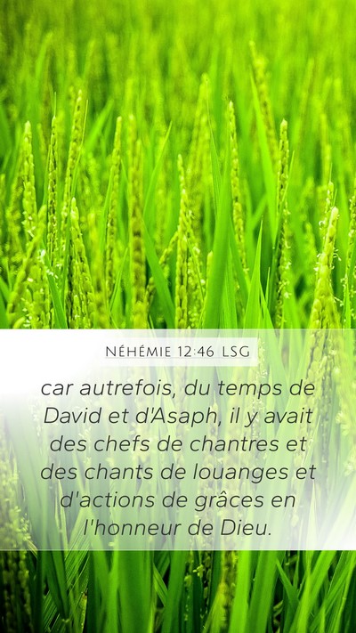 Néhémie 12:46 LSG Mobile Phone Wallpaper - car autrefois, du temps de David et d'Asaph, il y - Mobile Bible Verse Wallpaper