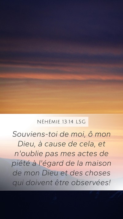 Néhémie 13:14 LSG Bible Verse Image