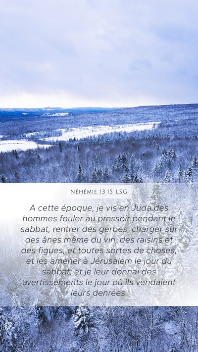 Néhémie 13:15 LSG Bible Verse Image