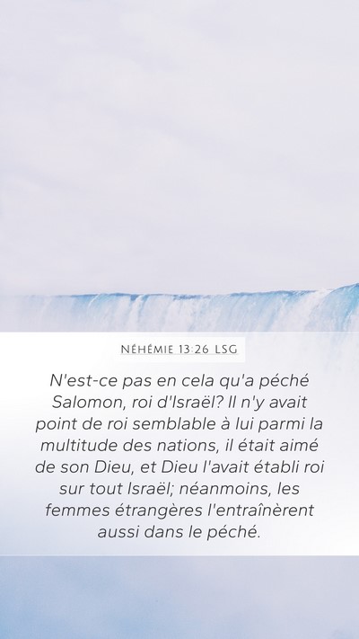 Néhémie 13:26 LSG Bible Verse Image