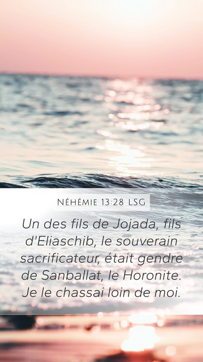 Néhémie 13:28 LSG Bible Verse Image