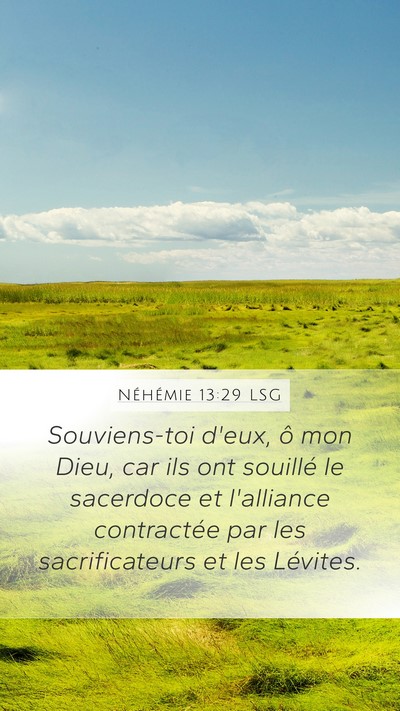 Néhémie 13:29 LSG Bible Verse Image
