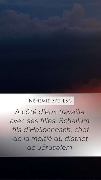 Néhémie 3:12 LSG Bible Verse Image