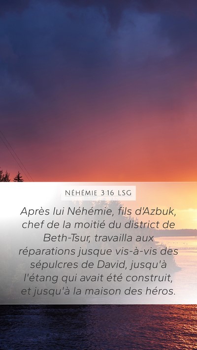 Néhémie 3:16 LSG Bible Verse Image