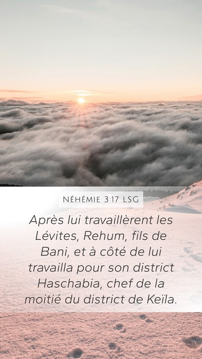 Néhémie 3:17 LSG Bible Verse Image