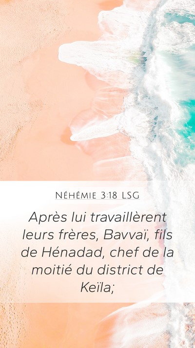 Néhémie 3:18 LSG Bible Verse Image