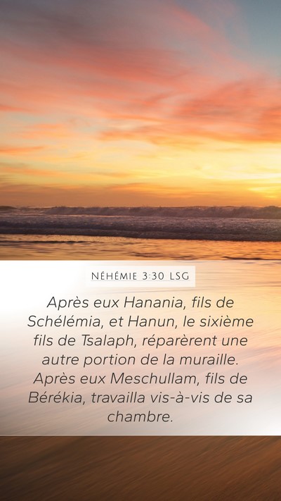 Néhémie 3:30 LSG Bible Verse Image