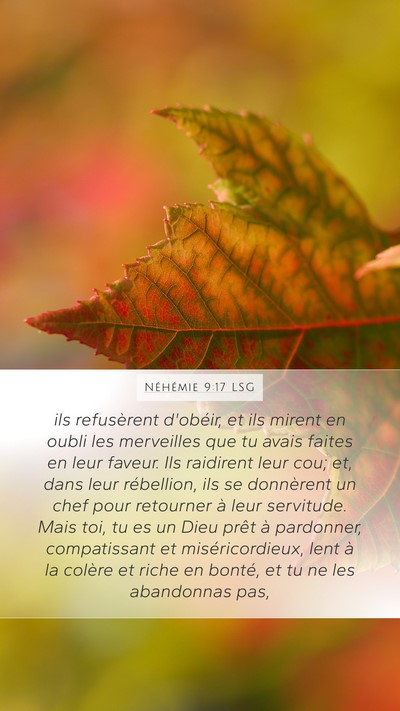 Néhémie 9:17 LSG Bible Verse Image