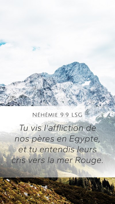Néhémie 9:9 LSG Bible Verse Image