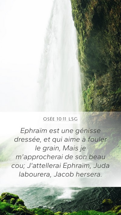 Osée 10:11 LSG Bible Verse Image