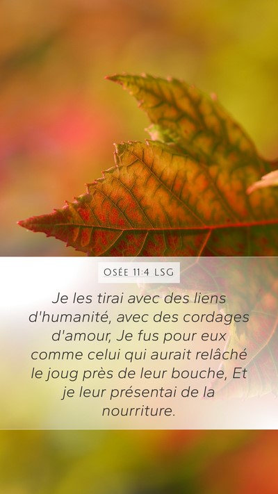 Osée 11:4 LSG Mobile Phone Wallpaper - Je les tirai avec des liens d'humanité, avec des - Mobile Bible Verse Wallpaper