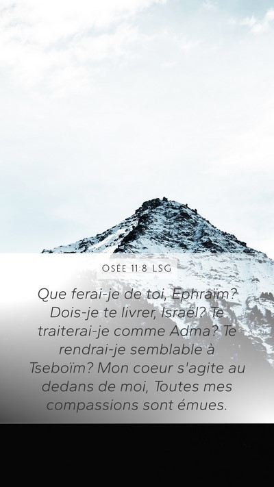 Osée 11:8 LSG Bible Verse Image