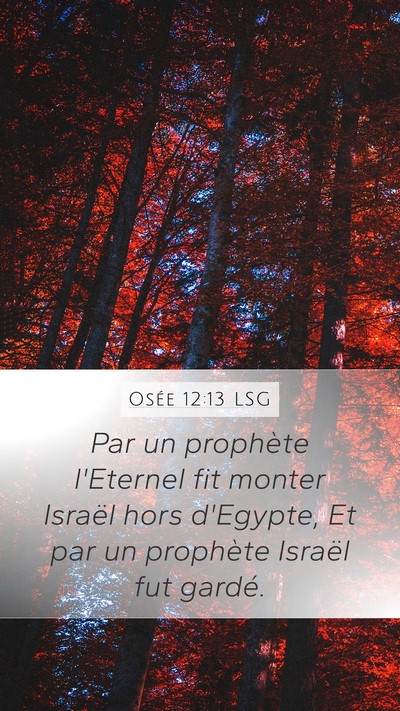 Osée 12:13 LSG Bible Verse Image
