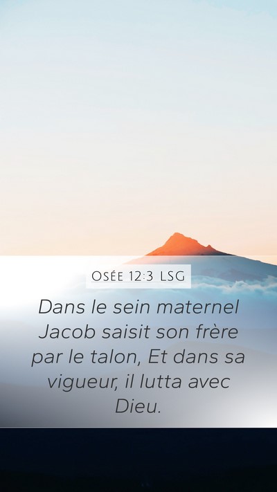 Osée 12:3 LSG Bible Verse Image