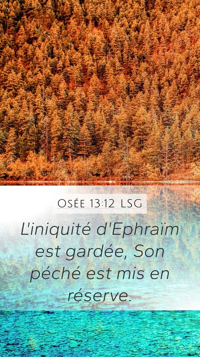 Osée 13:12 LSG Bible Verse Image