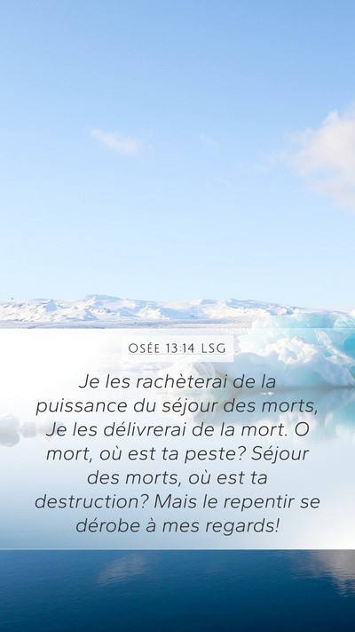 Osée 13:14 LSG Bible Verse Image