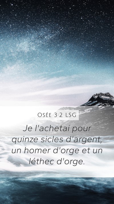 Osée 3:2 LSG Bible Verse Image