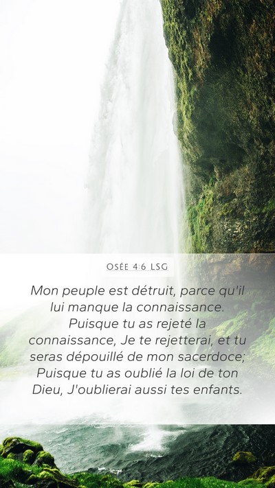 Osée 4:6 LSG Bible Verse Image