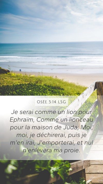 Osée 5:14 LSG Bible Verse Image