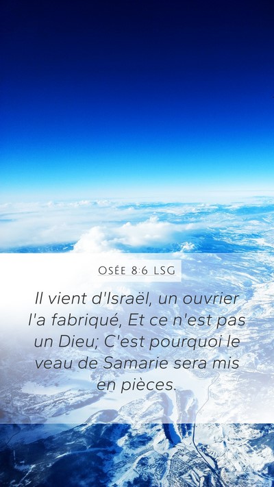 Osée 8:6 LSG Bible Verse Image