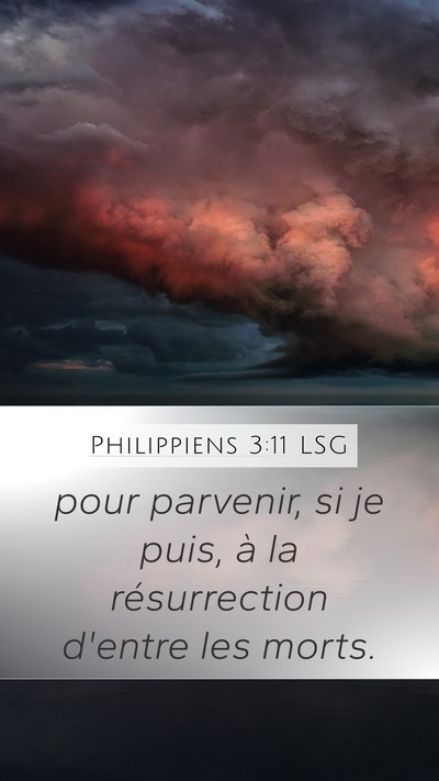 Philippiens 3:11 LSG Bible Verse Image