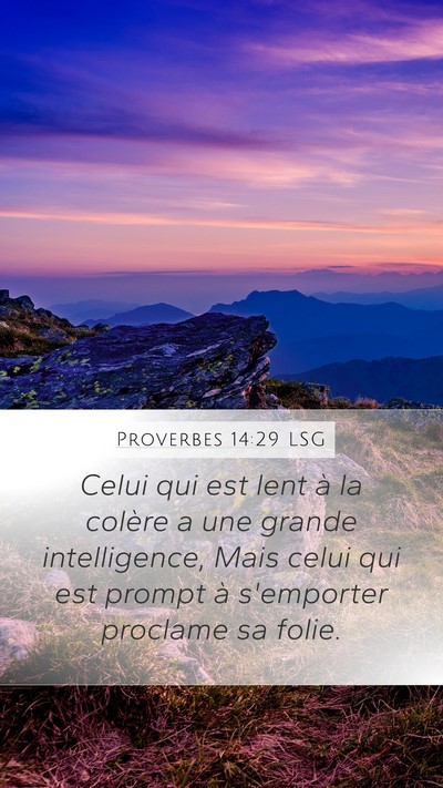 Proverbes 14:29 LSG Bible Verse Image