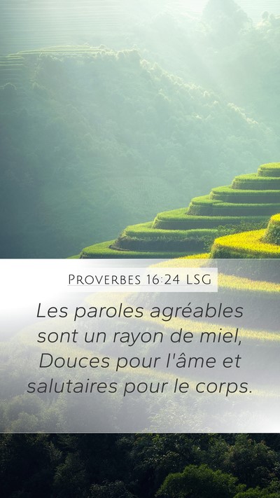 Proverbes 16:24 LSG Bible Verse Image