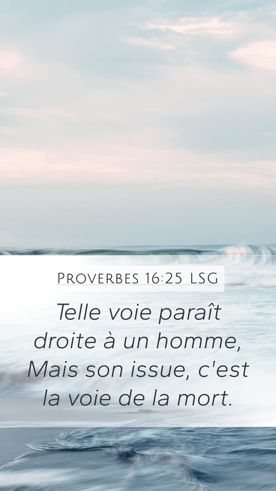 Proverbes 16:25 LSG Bible Verse Image