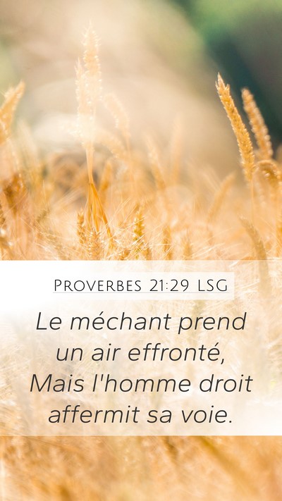 Proverbes 21:29 LSG Bible Verse Image
